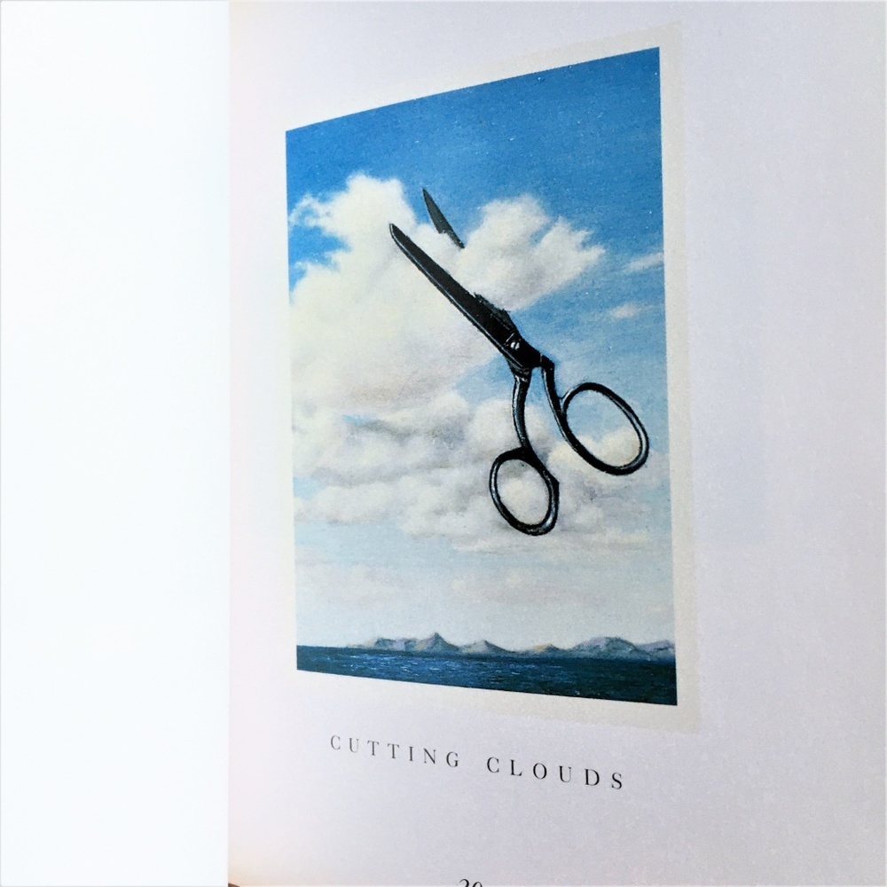 ART BOOK *RARE!   SKYSHADES * Fanny Brennan - …